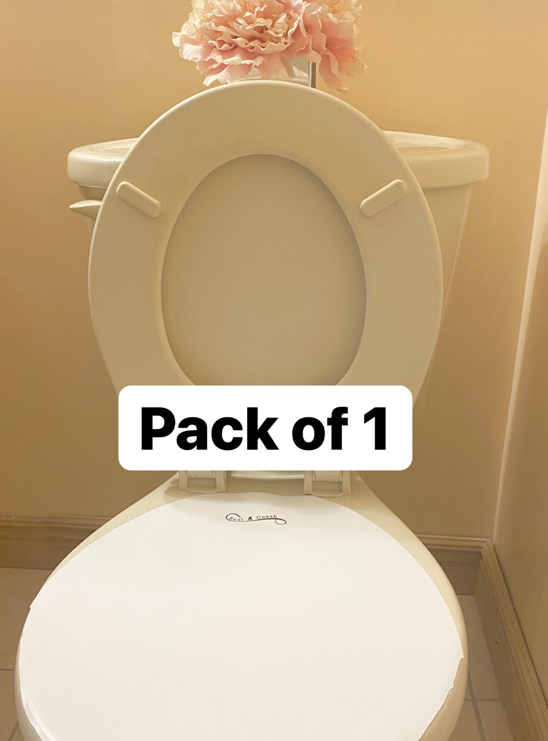 Pack of 1